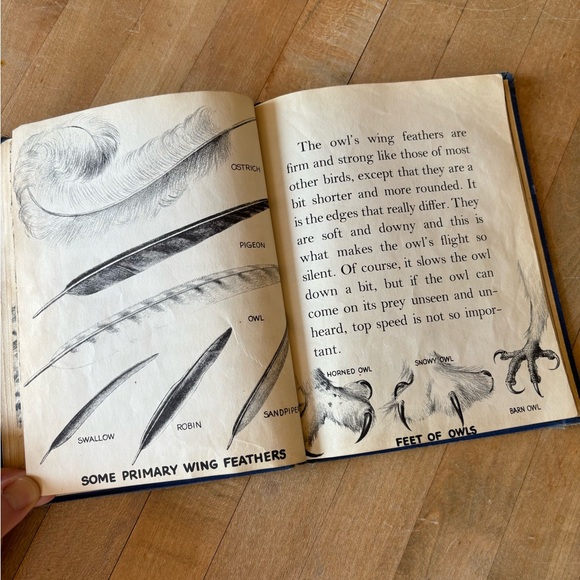 Vintage 60’s Owl Book - Picture 7 of 13